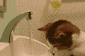 Funny Myspace Comments