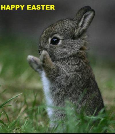 Easter Myspace Comments