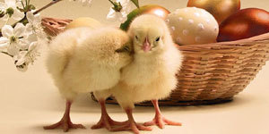 Easter Myspace Comments