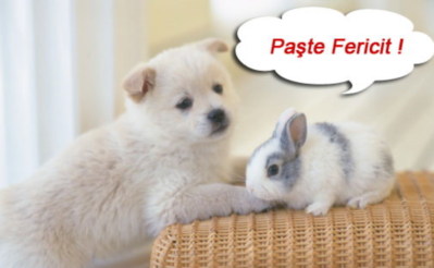 Easter Myspace Comments