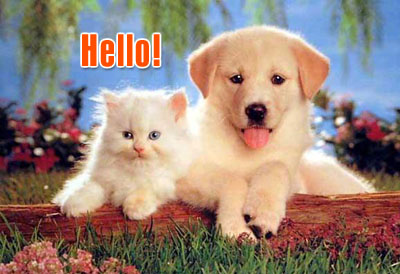 Hello! Myspace Comments