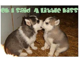 Kisses Myspace Comments