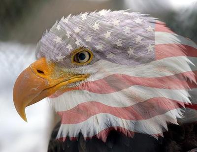 DARKSIDE TATTOO CO. on Myspace