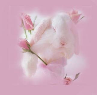 Easter Myspace Comments