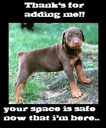 Thanks for the Add Myspace Comments