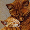 Hugs Myspace Comments