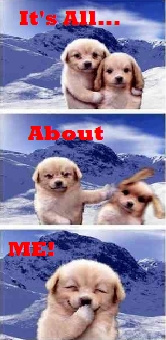 About Me Myspace Comments