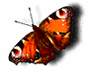 Animated Pictures Myspace Comments