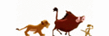 Animated Pictures Myspace Comments