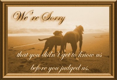 Sorry Myspace Comments