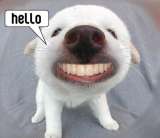 Hello! Myspace Comments