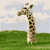 Animated Pictures Myspace Comments