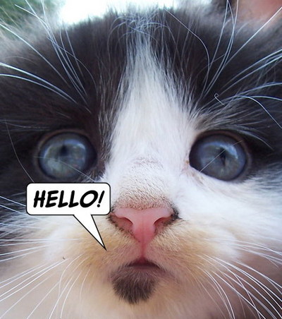 Hello! Myspace Comments