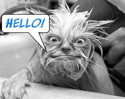 Hello! Myspace Comments