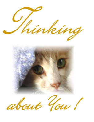 Thinking Of You Myspace Comments
