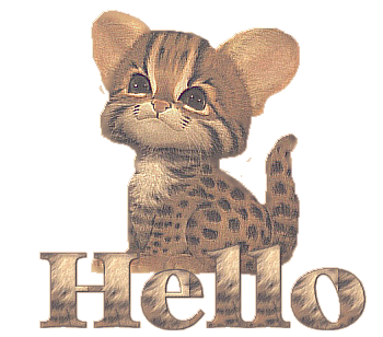 Hello! Myspace Comments