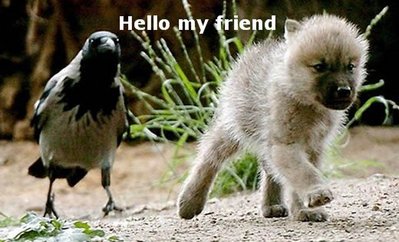 Hello! Myspace Comments