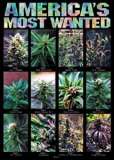 Alcohol&Drugs Myspace Comments