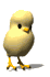 3457.gif