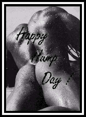 Days - Hump Day Myspace Comments