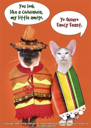 Cinco de Mayo Myspace Comments