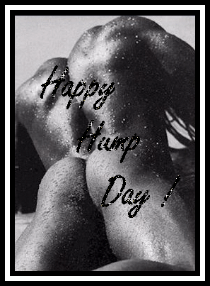 Days - Hump Day Myspace Comments