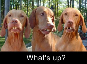 Hello! Myspace Comments