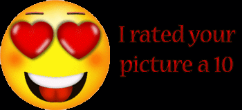 Picture Comments Myspace Comments