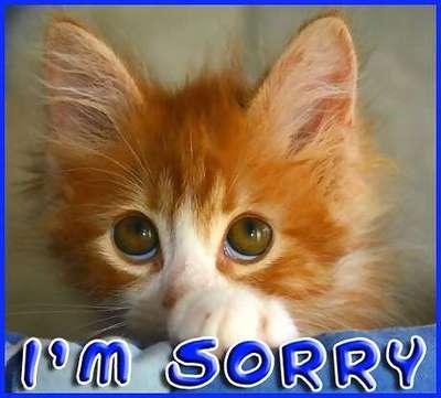Sorry Myspace Comments