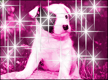 Glitter Graphics Myspace Comments
