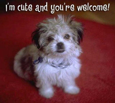 Welcome Myspace Comments