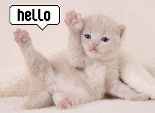 Hello! Myspace Comments