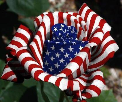 4th of July Myspace Comments