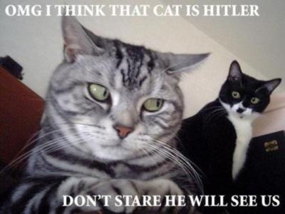 Funny Myspace Comments