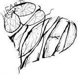 Broken Heart Myspace Comments