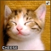 Funny Myspace Comments