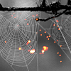 Halloween Myspace Comments