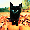 Halloween Myspace Comments