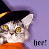 Halloween Myspace Comments