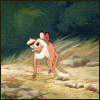 Cartoons Myspace Comments
