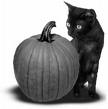 Halloween Myspace Comments