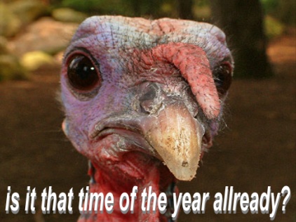 Thanksgiving Myspace Comments