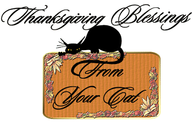 Thanksgiving Myspace Comments