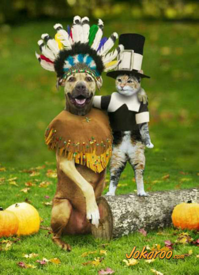 Thanksgiving Myspace Comments
