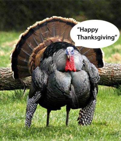 Thanksgiving Myspace Comments