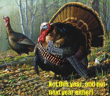 Thanksgiving Myspace Comments