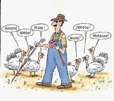 Thanksgiving Myspace Comments