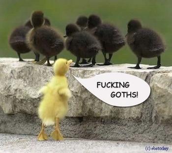 Funny Myspace Comments
