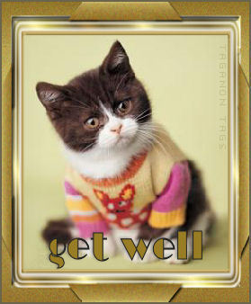 Get Well Myspace Comments