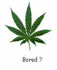 Alcohol&Drugs Myspace Comments